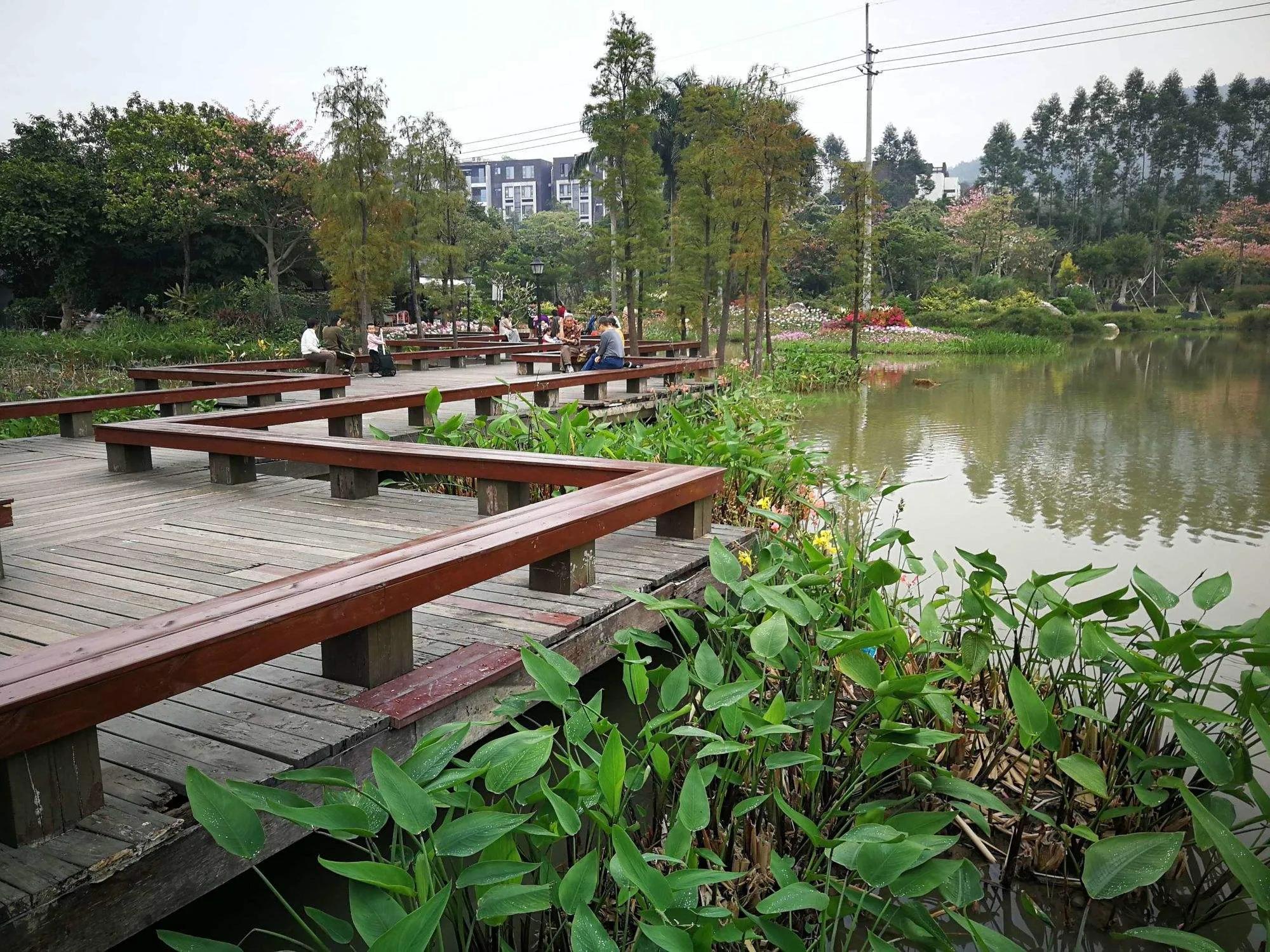 广州市47个免费游玩的地方,广州最适合一日游的57个免费景点