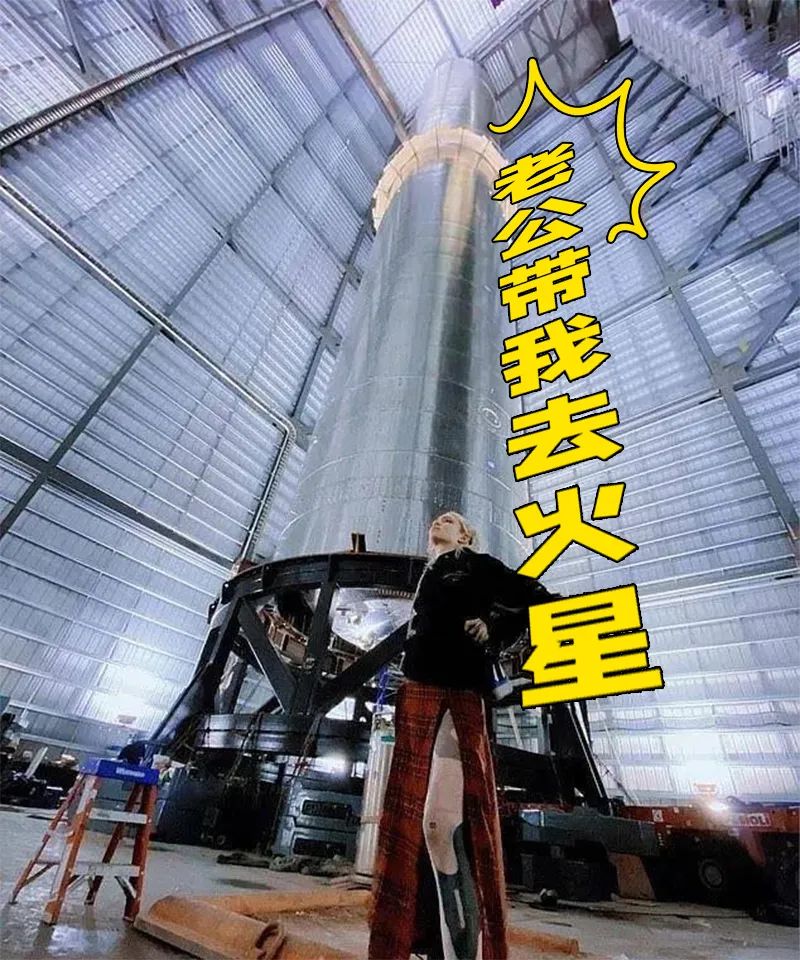 马斯克贴个征婚启事：“能陪我一起发疯就行！”