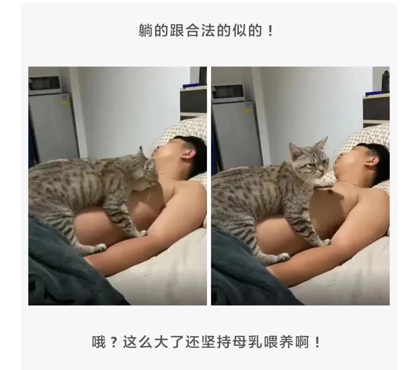 为什么吃了布洛芬更疼了,布洛芬是怎么知道我们身体哪里疼