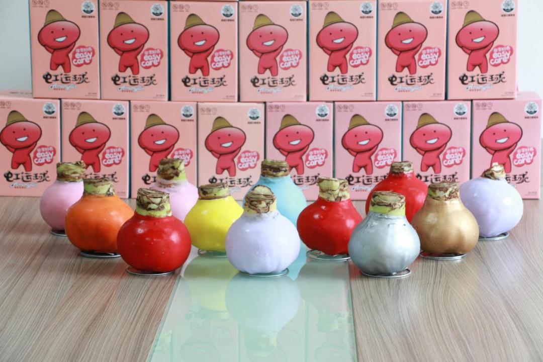 客单价高的绿植,最流行的球根花卉