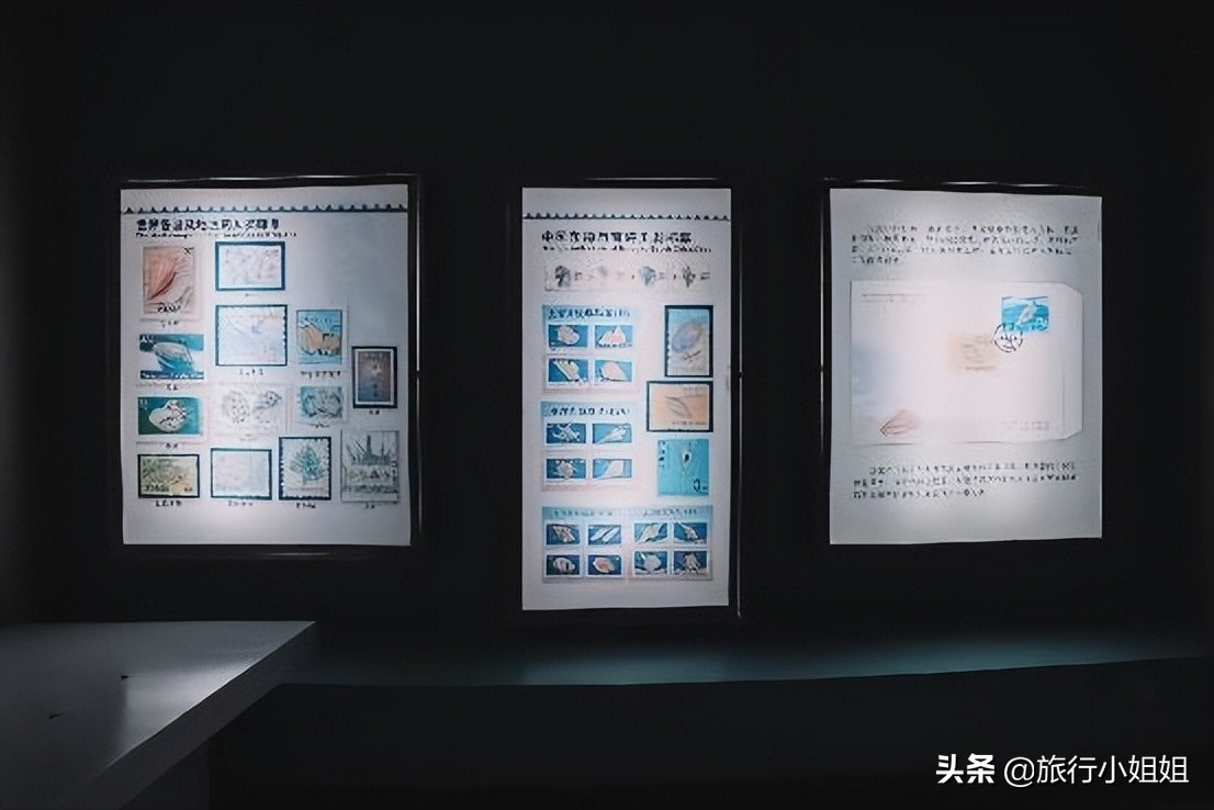 夏日海边浪漫迷人,滨城风光秀丽浪漫气息爆表