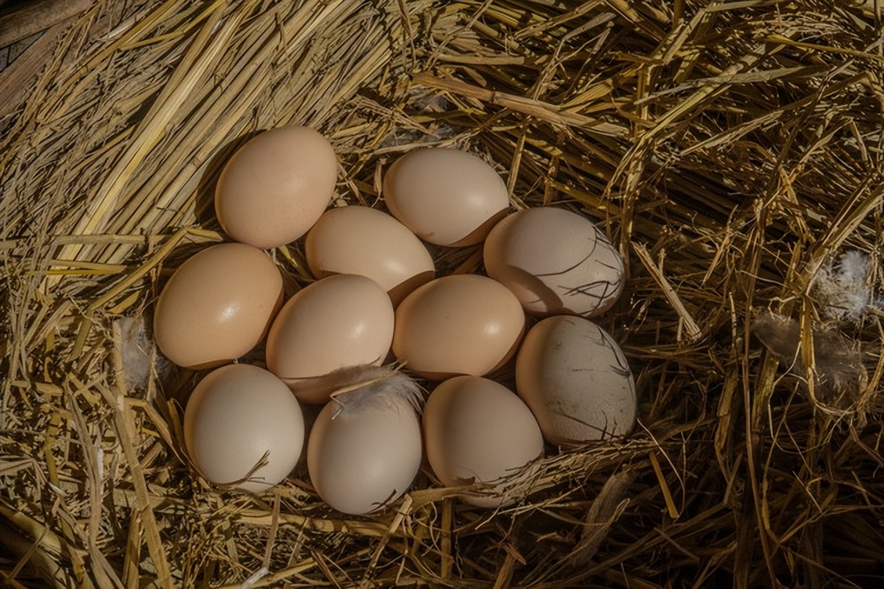 菜市场买菜这几种菜千万别买,菜场买菜注意哪些