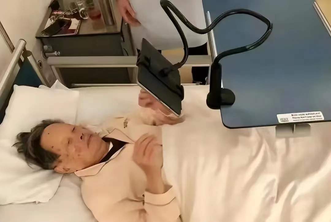 杨振宁翁帆慈善捐赠,杨振宁捐献珍贵资料是什么