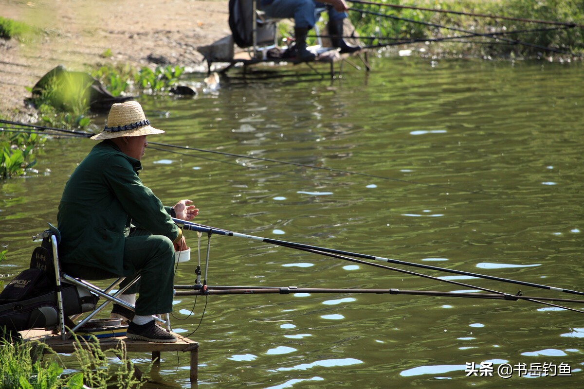 什么饵料钓鱼被禁止用了,钓鱼被老板禁用饵料