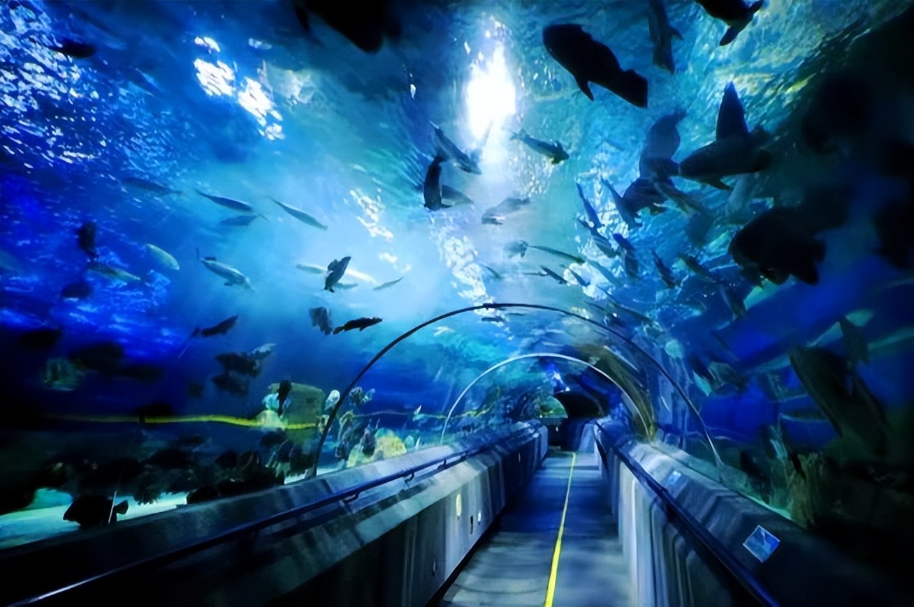 大连旅游攻略3天2夜住宿,大连旅游攻略视频