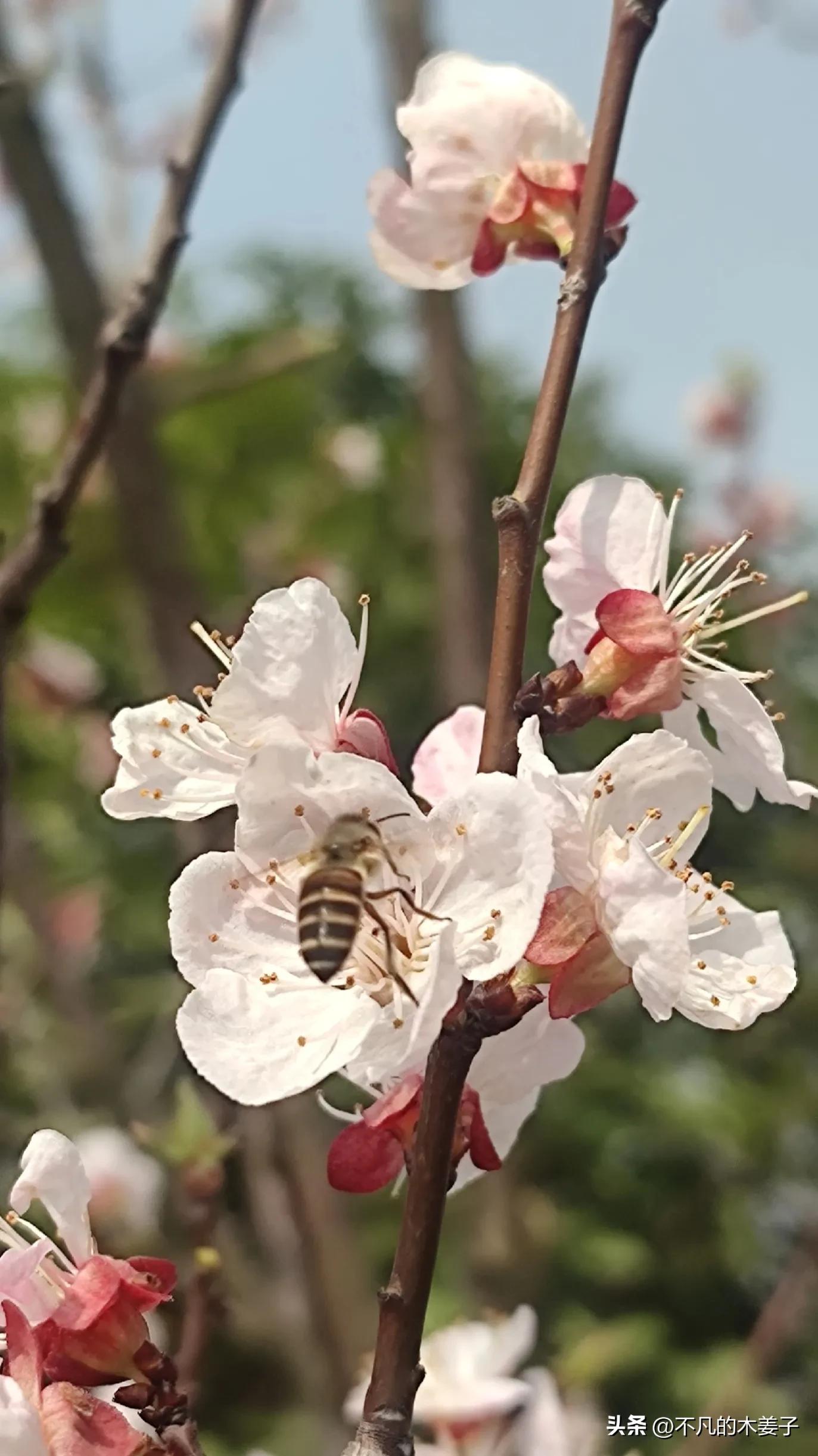 女子裸照被贴厂门口，公司做出这样的处理