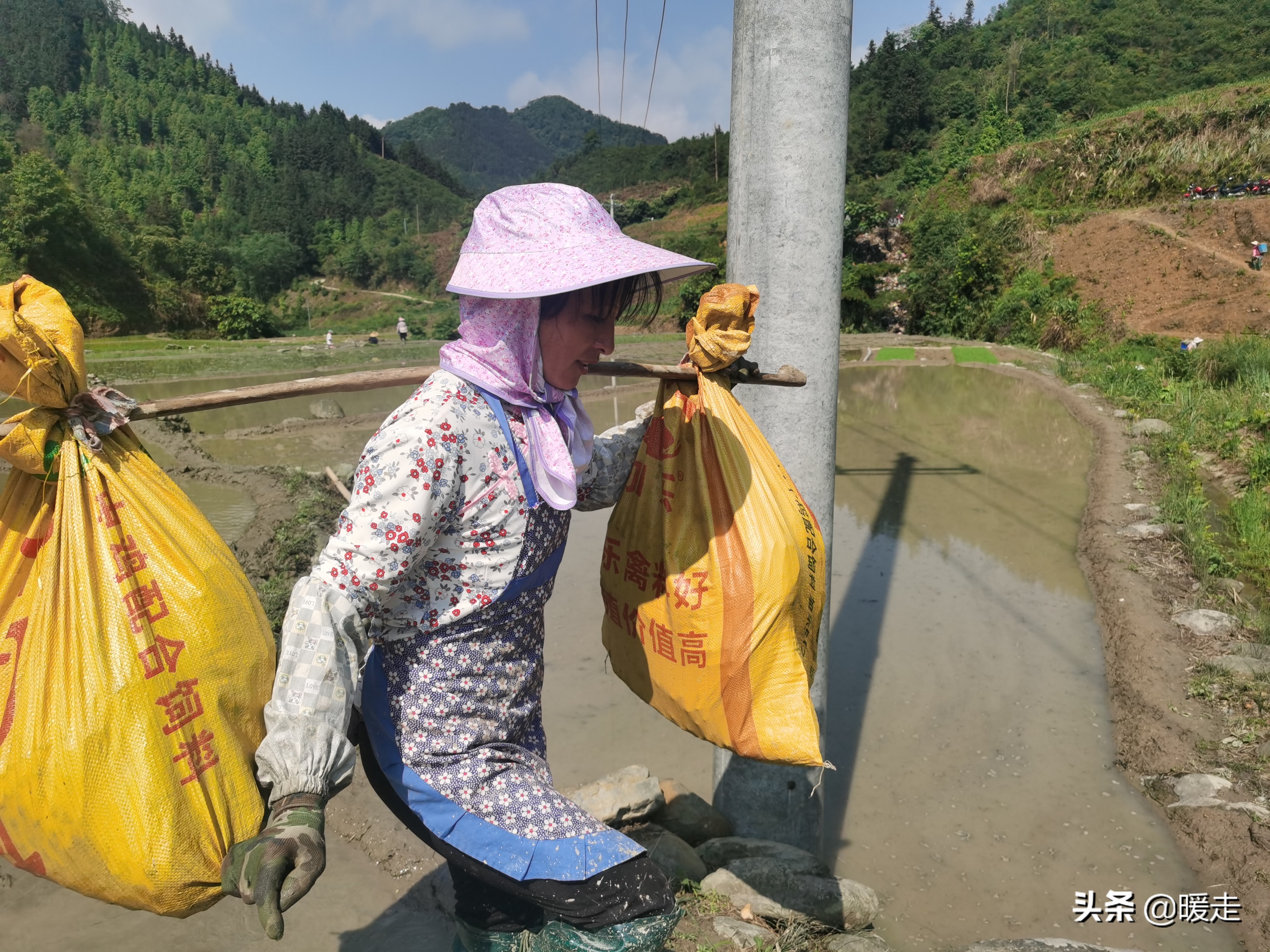 广西农民种田,乡村种田的生活视频