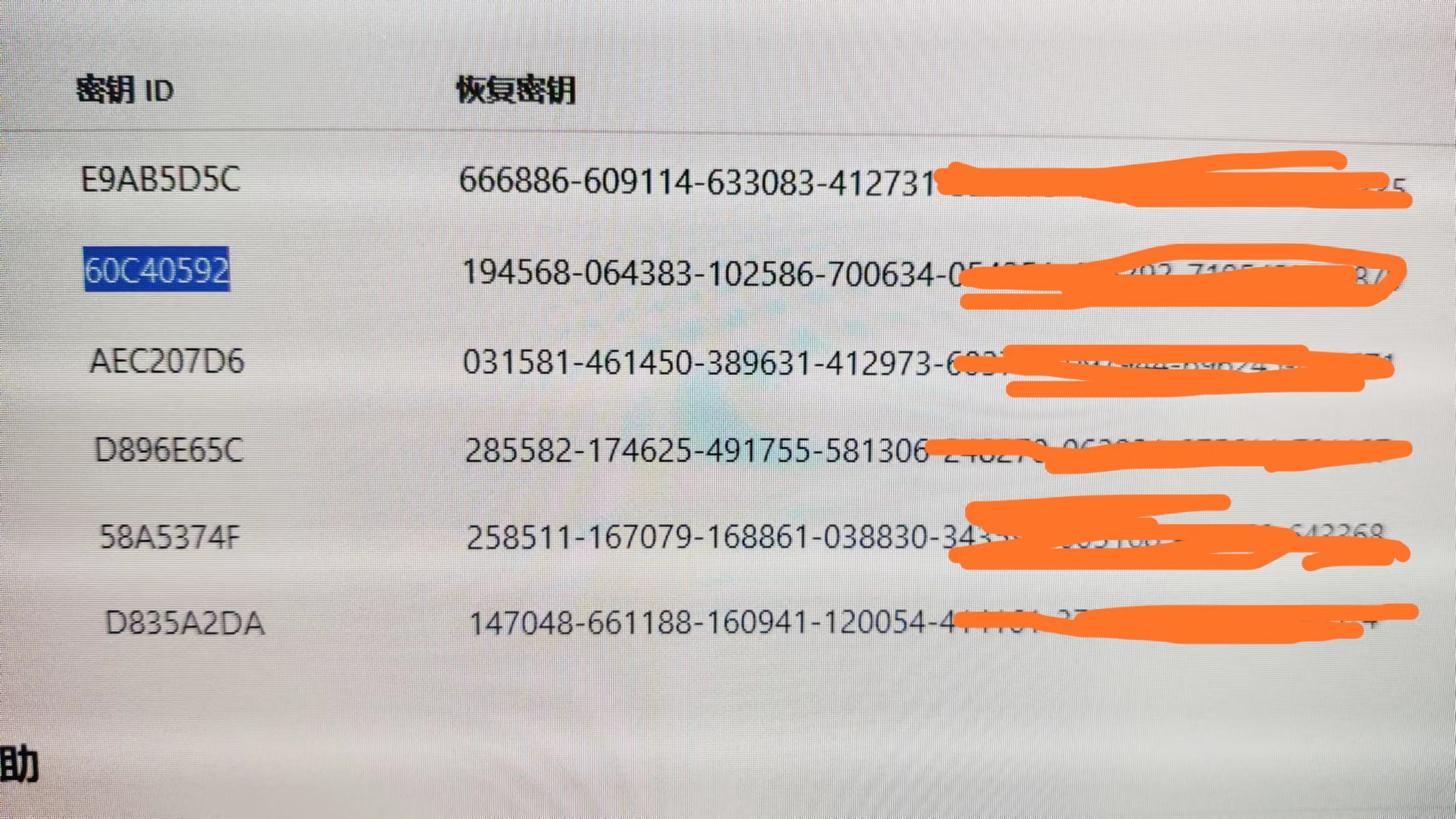 关于DELL电脑的Bitlocker问题
