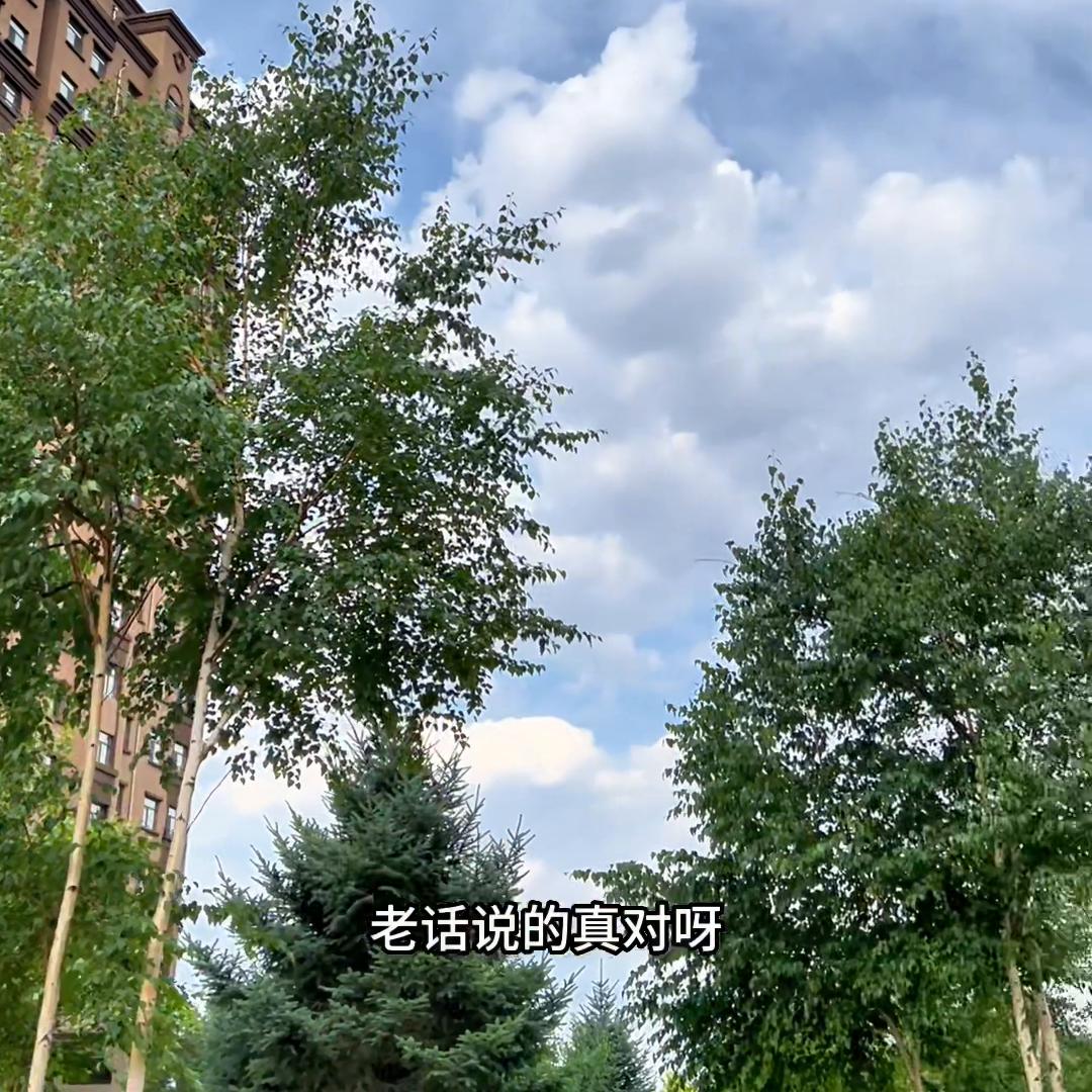 当个家庭主妇有多难,当上家庭主妇