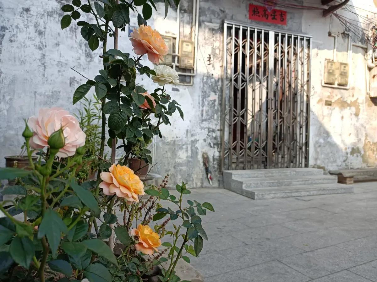 12位百岁名人,十二位名人事迹