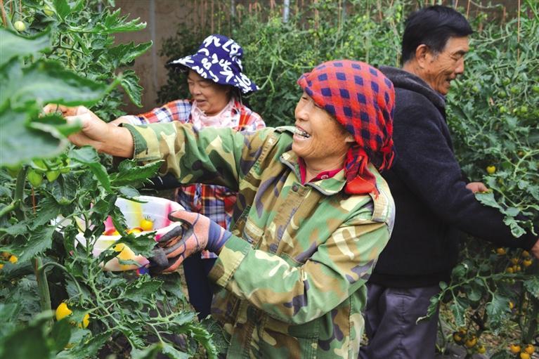 古浪县三抓三促行动动员部署会议,开展三抓三促行动工作总结