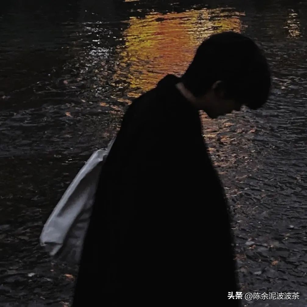 可爱的猫咪头像和小狗头像,团子头像可爱微信头像