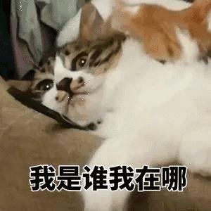 王国之泪最惨塞尔达,塞尔达传说王国之泪攻略