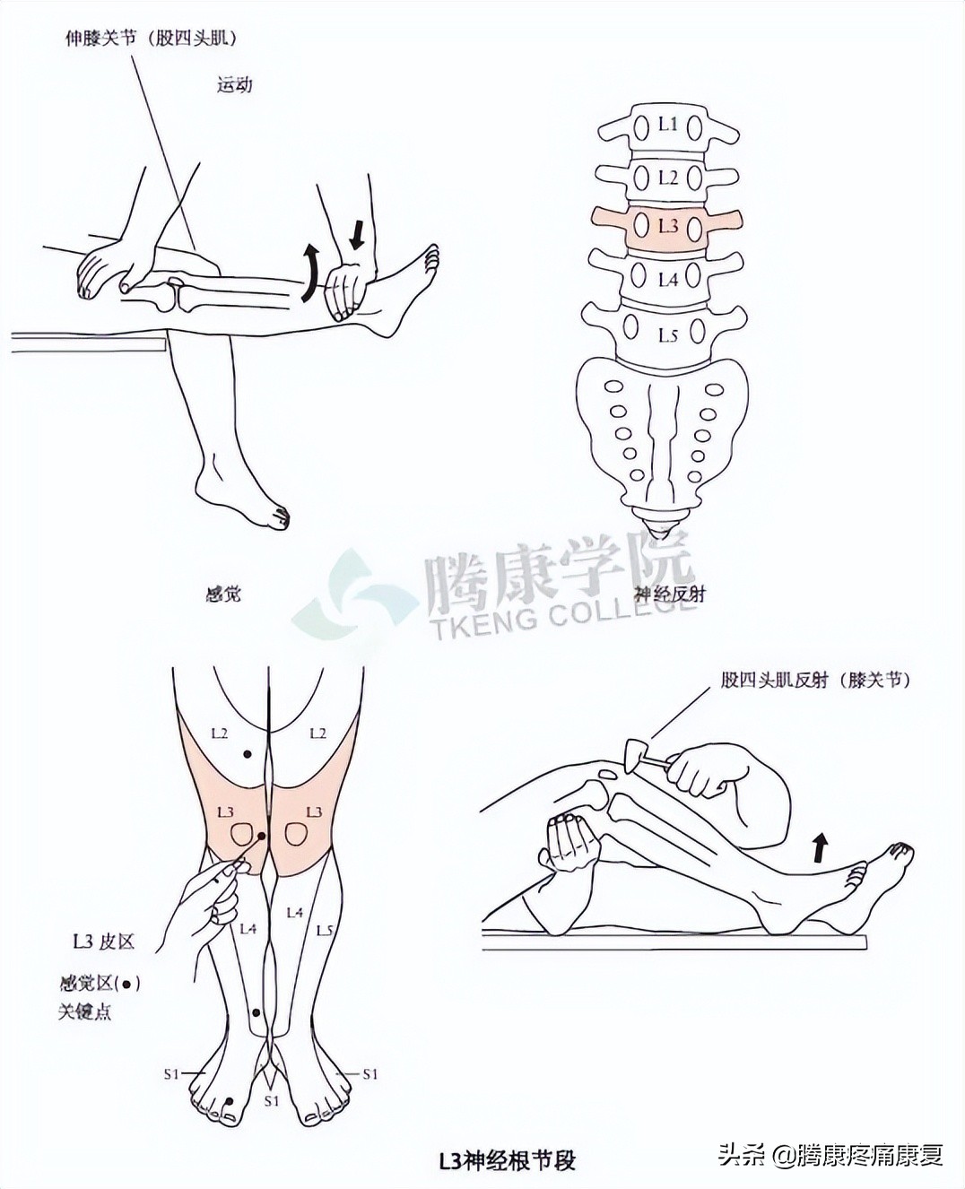 腰骶丛神经检查痛苦吗,腰骶椎不舒服怎样检查