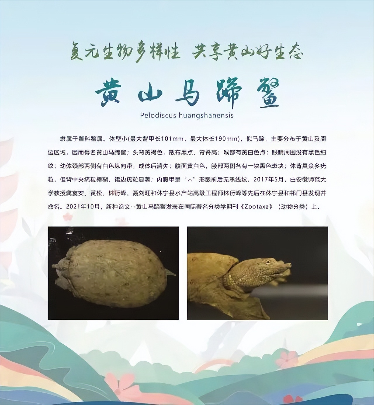 合肥二十种人气美食,合肥好吃的美食排行榜海鲜