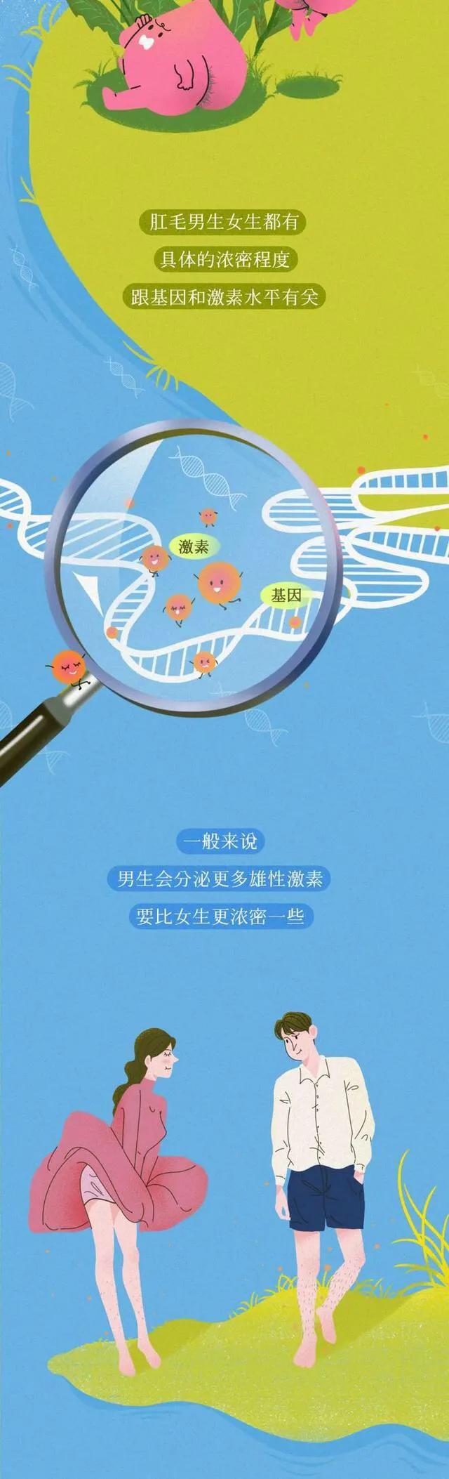 为什么人会长“肛毛”?若是刮掉会怎样?涨知识了!(漫画)