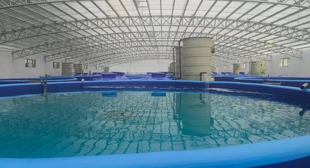 曲阜即将开建的大项目,曲阜vs滕州