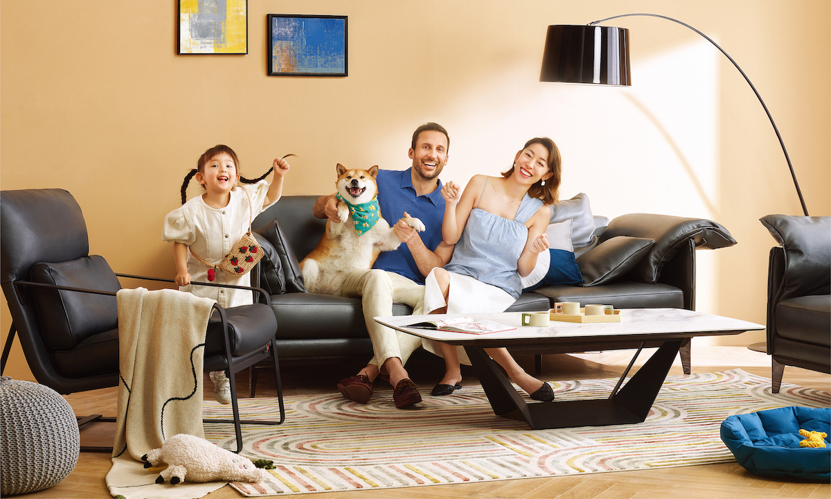 顾家集团官网,顾家发展历程