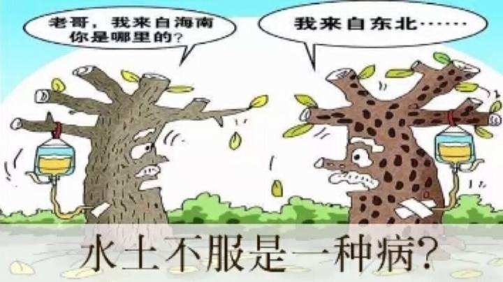 水土不服吃什么药,儿童水土不服一招解决