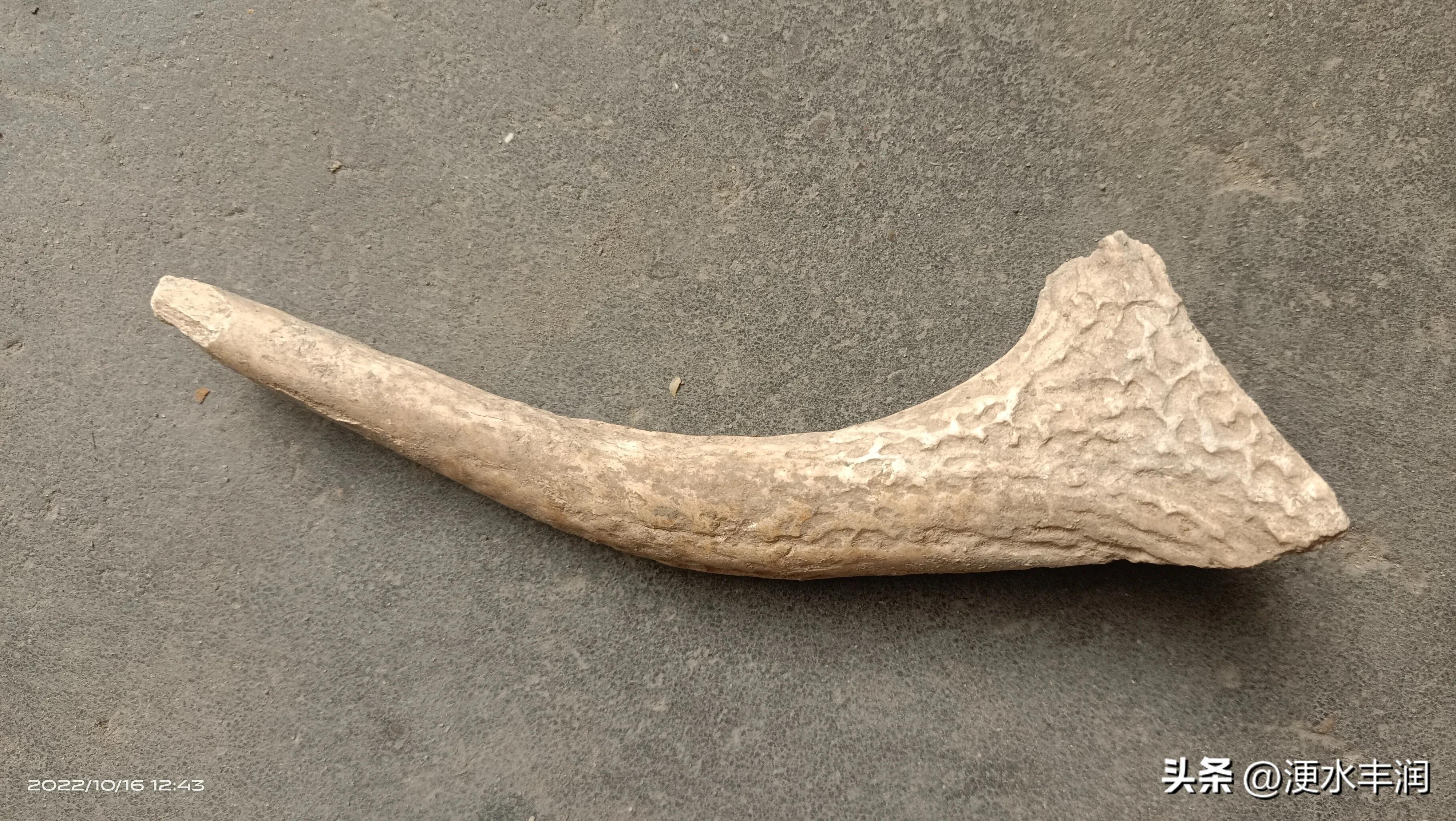 唐山的史前遗址,唐山制陶历史文化