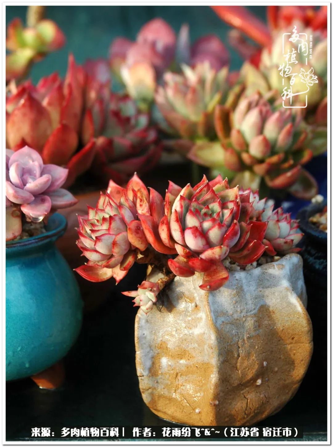 快乐的童年时光视频,回味快乐的童年美好的时光