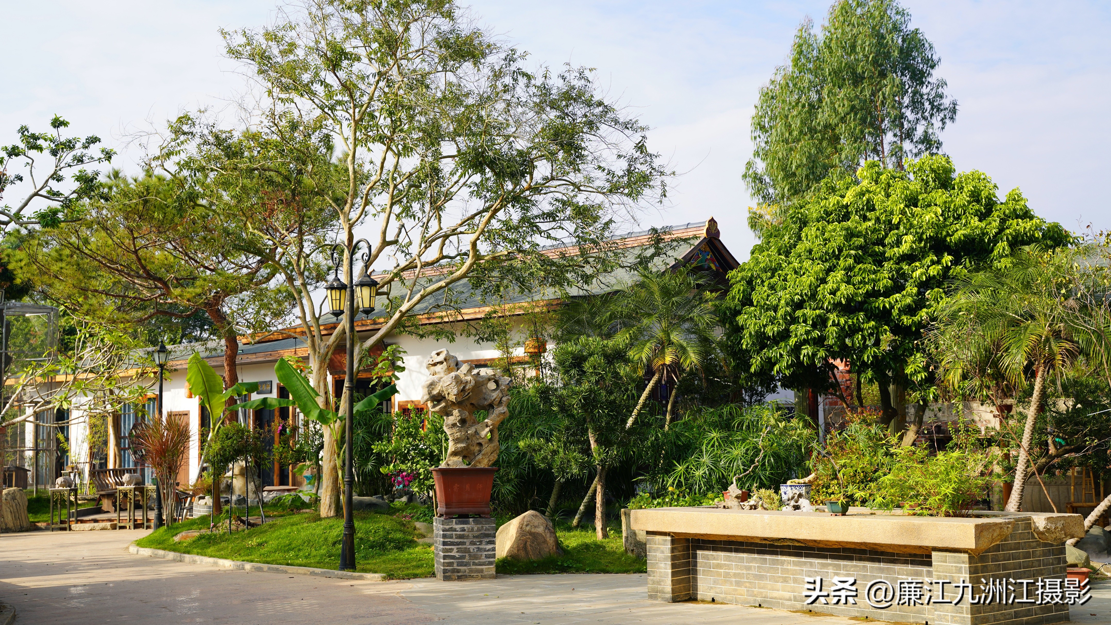 最高端的盆景展,一场惊艳的盆景展