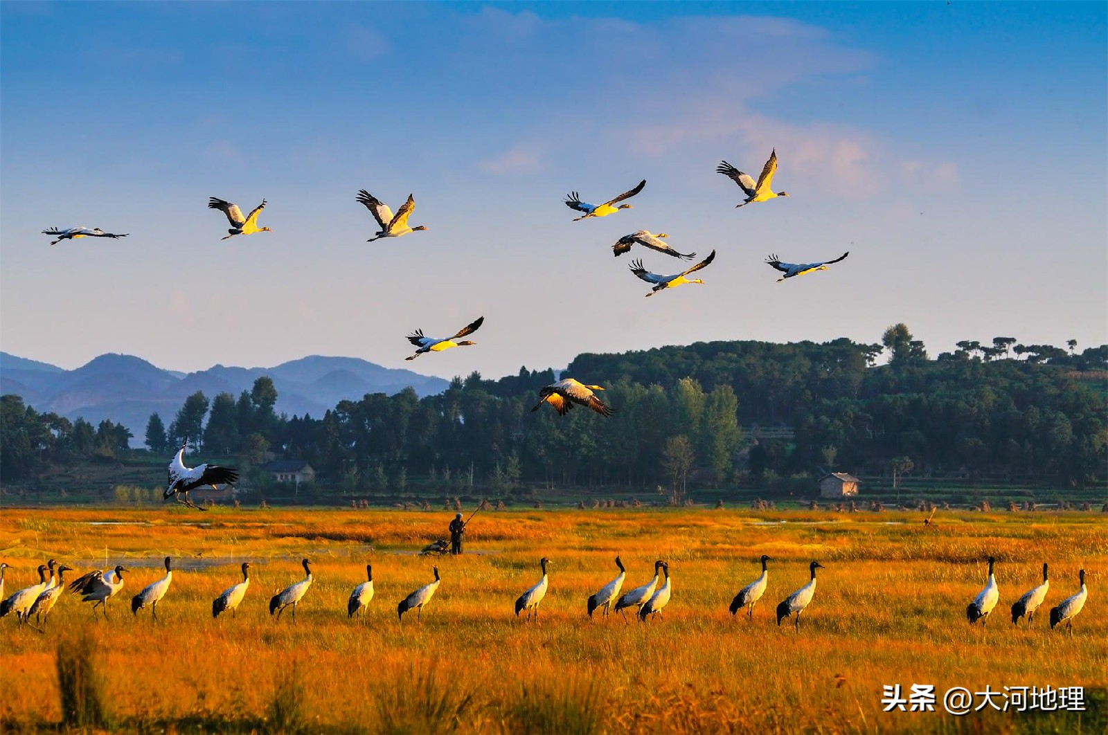 中国南方这30个景点,难说多知名,但敢说它的秋色最艳最浪漫