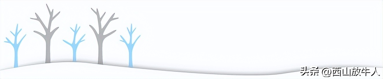 周晓枫散文在线阅读 (周晓枫散文阅读札记)