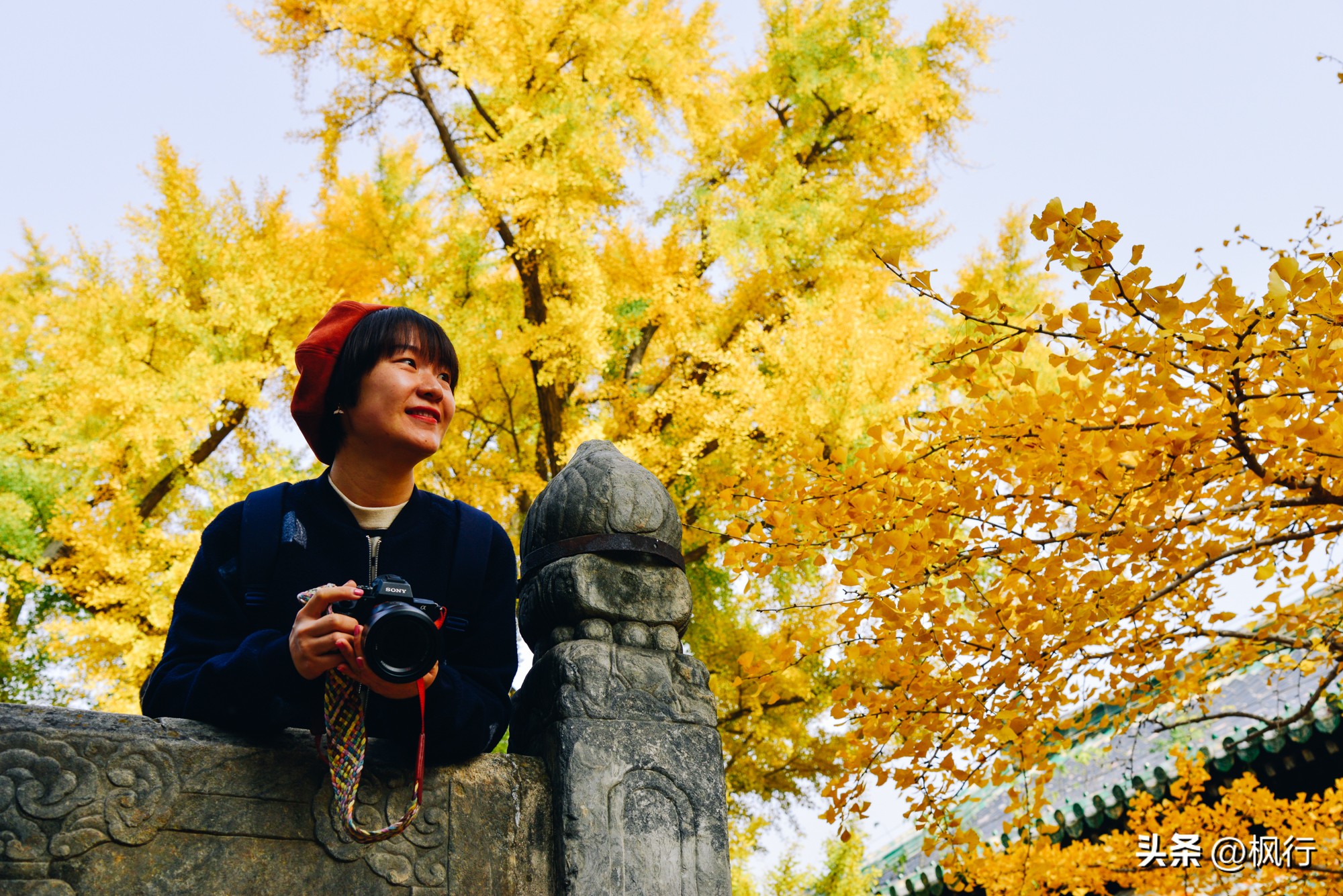 北京大觉寺后山风景,北京大觉寺旅游好去处
