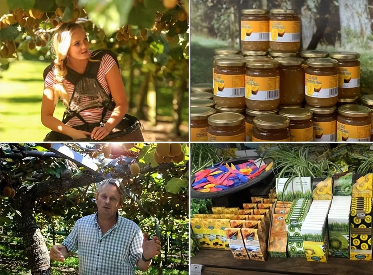 新西兰蒂普基猕猴桃特色小镇，如何实现从区域品牌到享誉世界？