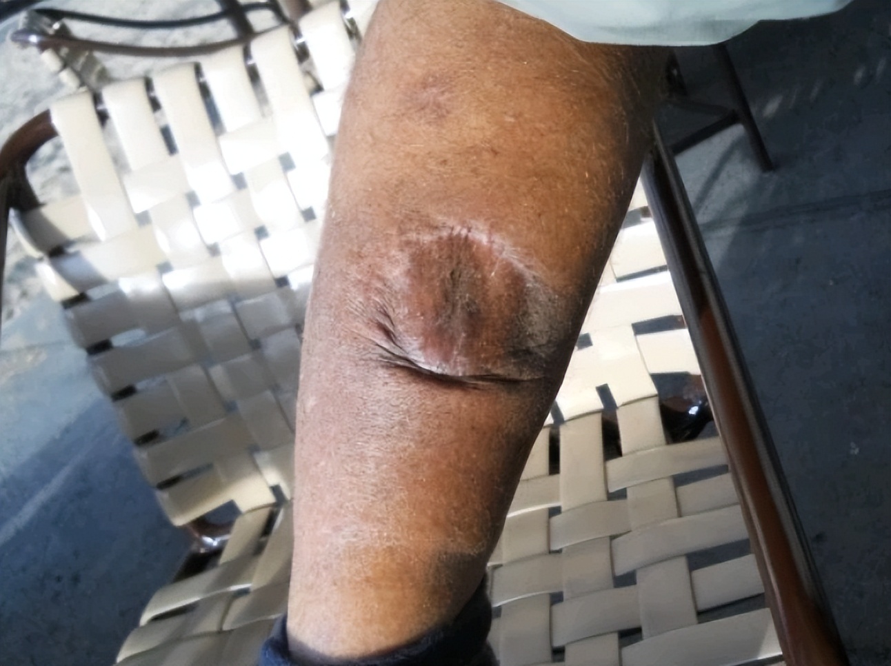 达摩鲨为什么不怕虎鲸,能和虎鲸大白鲨斗的是达摩鲨吗