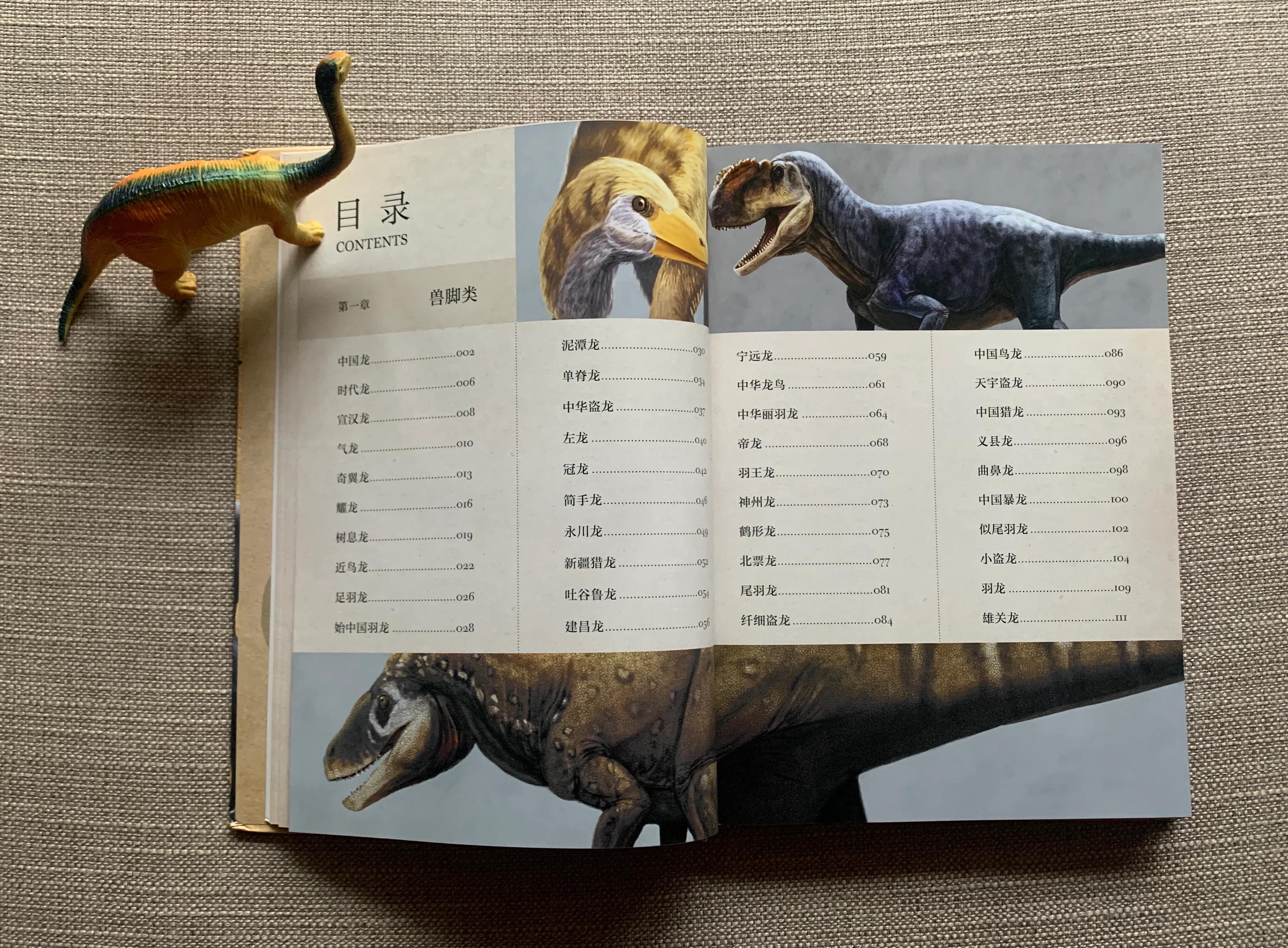 恐龙书单,恐龙的书单