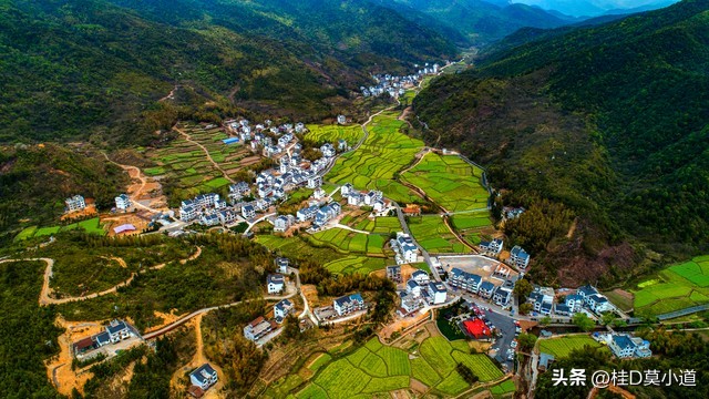 农村到底怎么发展农村才能富起来,农村里怎么发展好