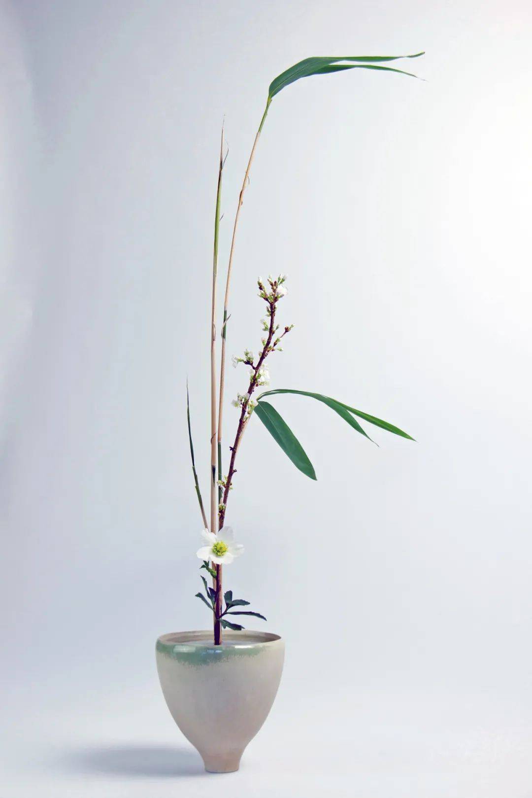 日式插花小原流花道,日式插花的13个基本技巧