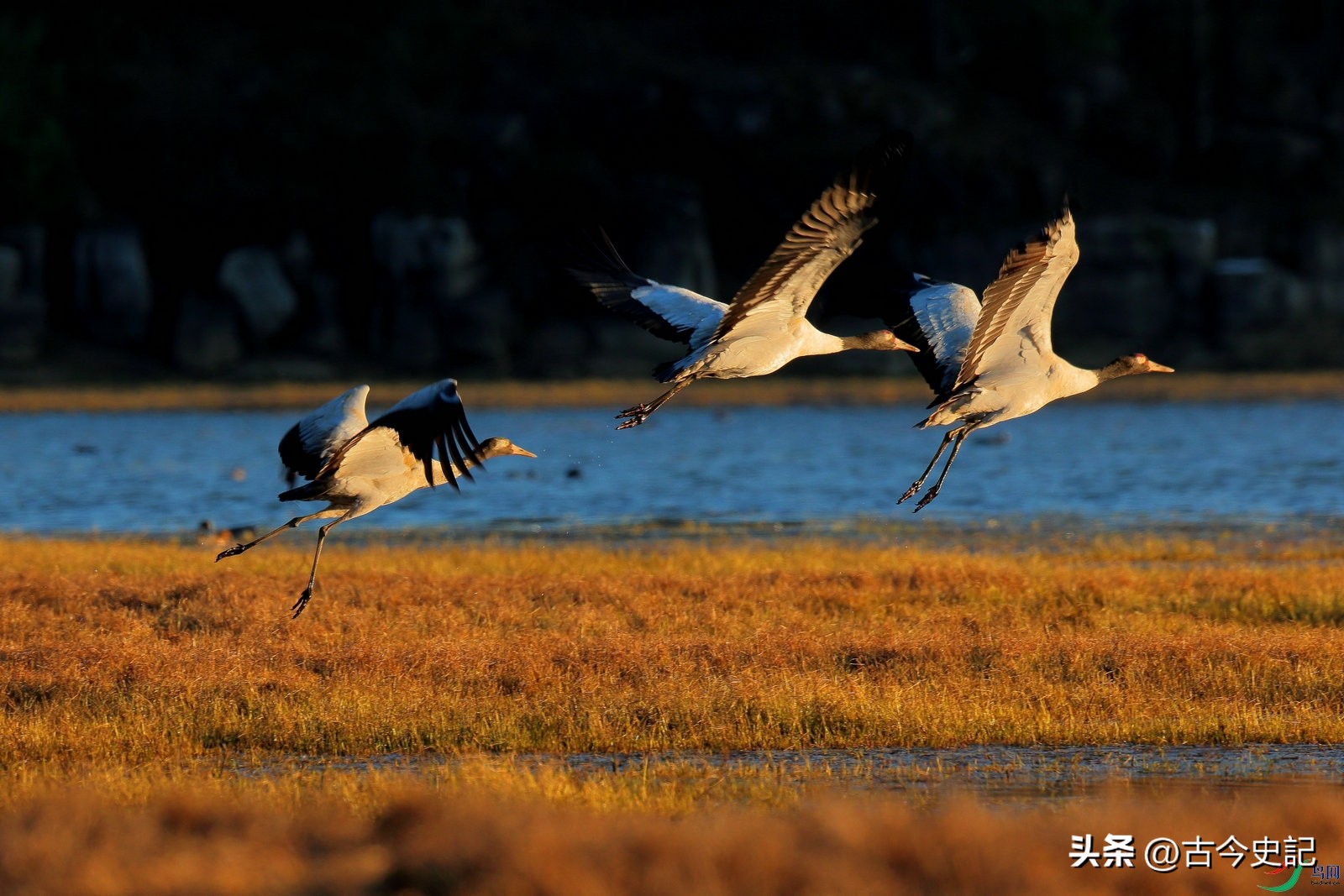 带你了解神秘的青海,青海省冷知识