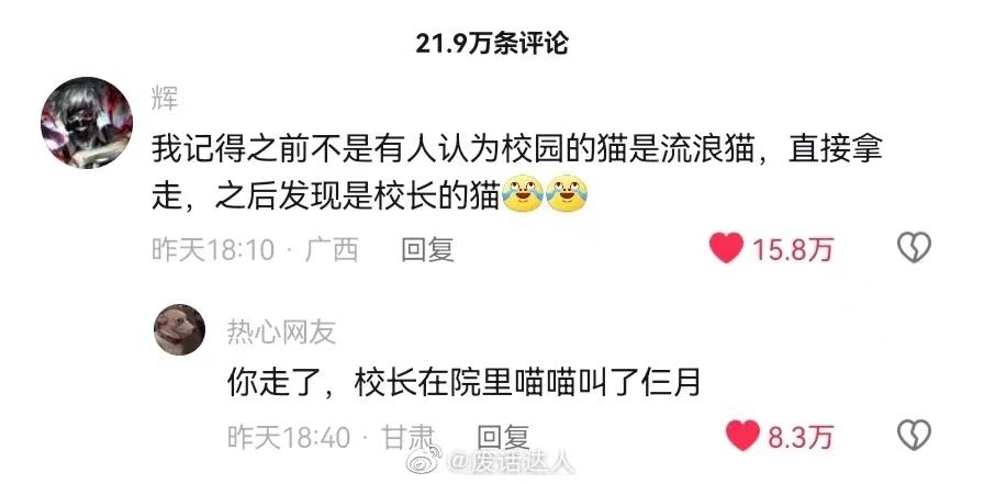 自从买了这个手机壳，我就经常找不到手机了