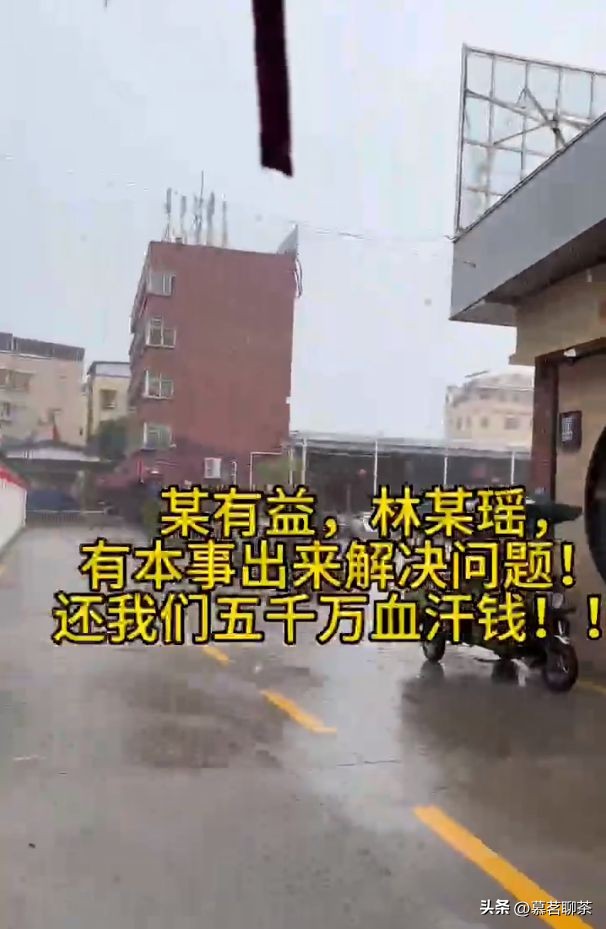 再美的泡沫也有被戳破的一天，普洱金融茶，梦该醒了！