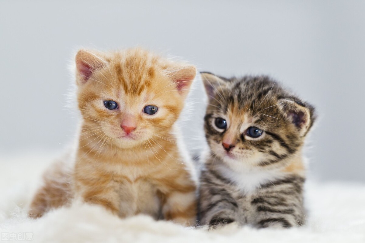 军事小说推荐完整版,军事小说推荐完结文有哪些