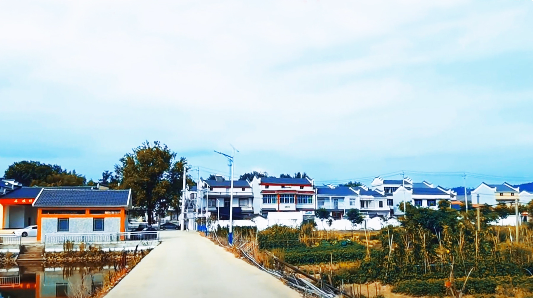 以产白茶为名，随拍武汉新洲这座美丽乡村，如山明水秀的世外桃源