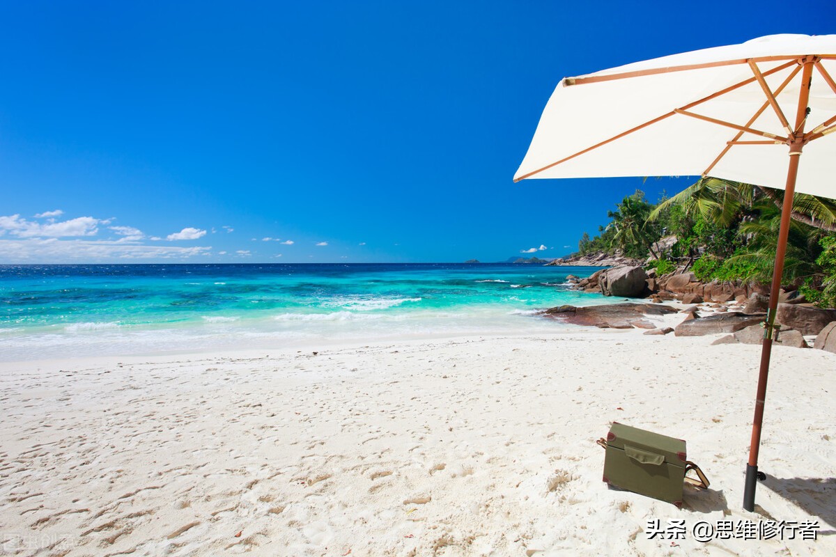 松鼠祸害粮食怎么办有什么妙招,如何解决松鼠破坏农作物