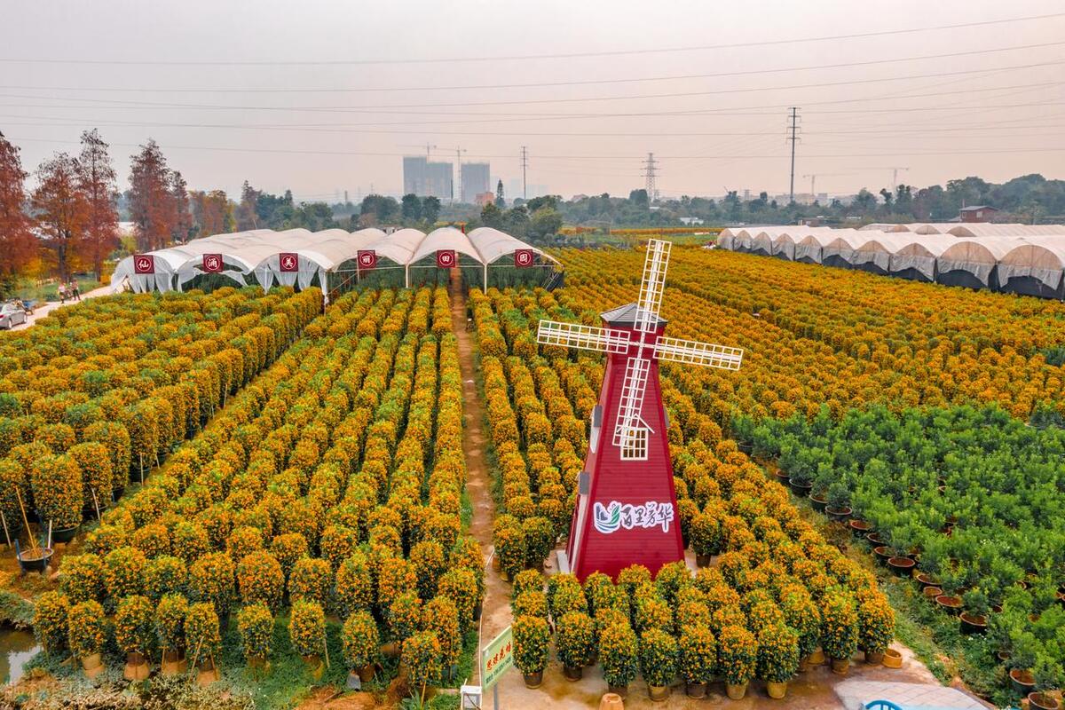 高利润小本创业项目,高利润小本生意创业项目