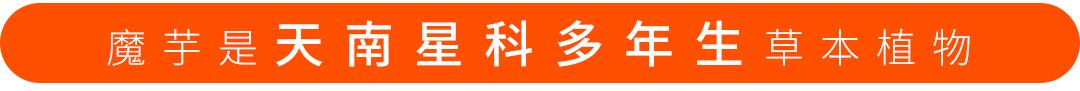 魔芋粉烘焙的作用和功效有哪些,魔芋粉烘焙的作用与功效有哪些