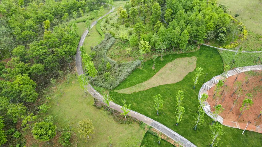 光谷南发展前景,光谷发展速度到底有多快