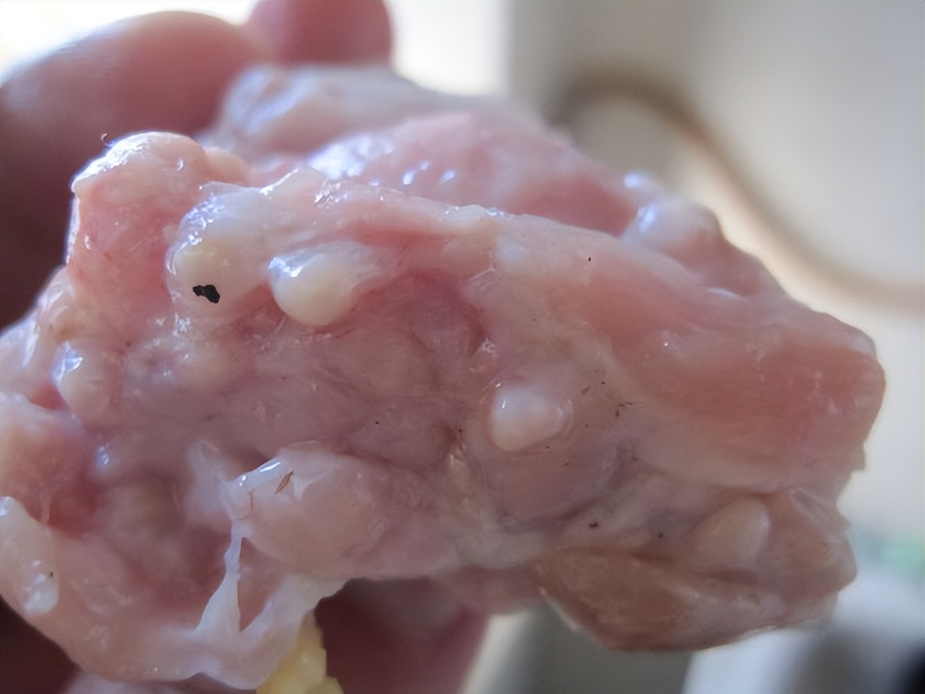 鸡肉哪个部位是癌症的克星,鸡肉抗癌