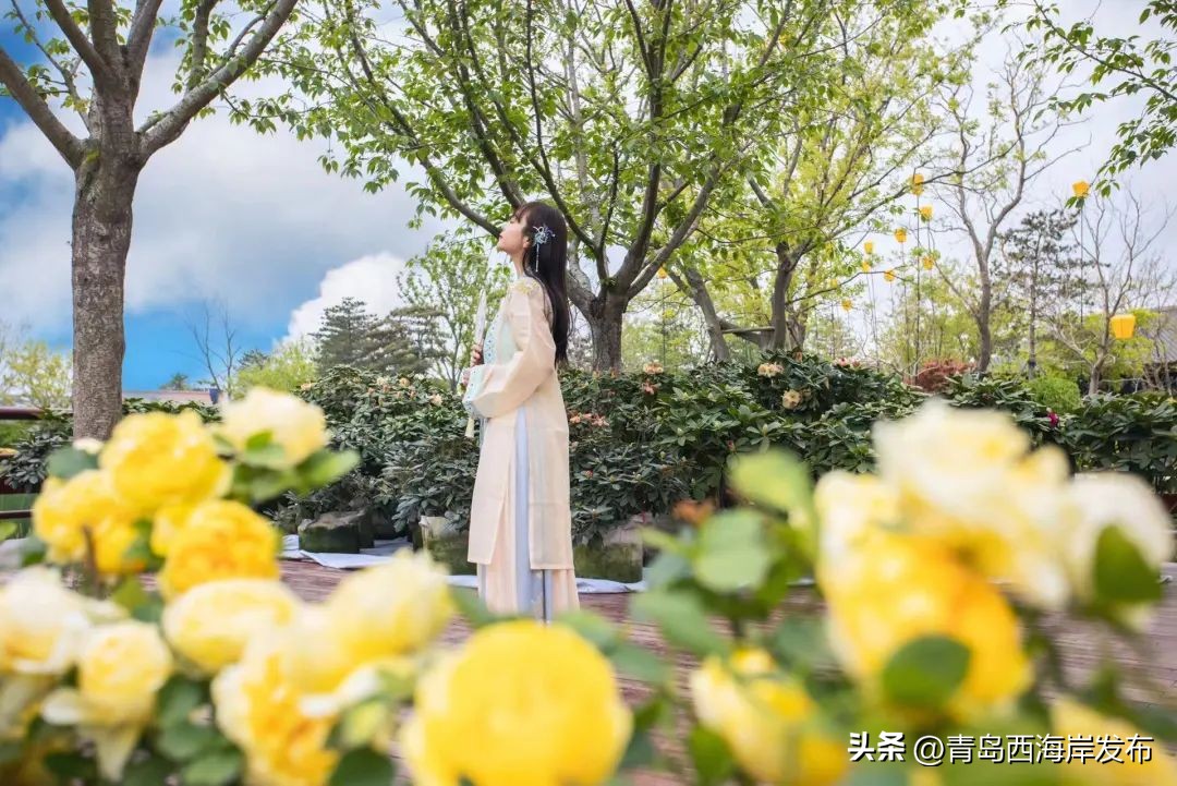 现实版小森林，这些藏在西海岸周边的乡野太治愈