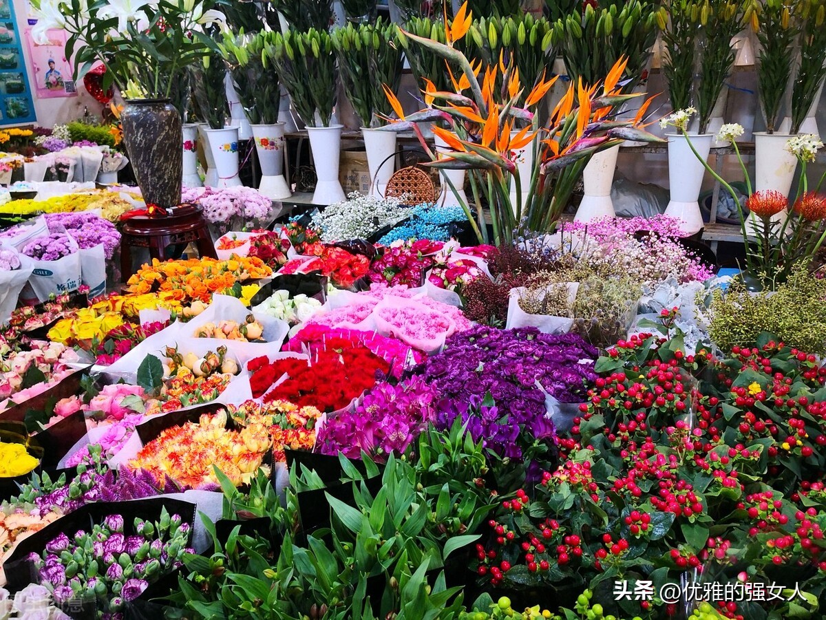 100个新颖的爱国作文题目,以爱国为主题的作文高二