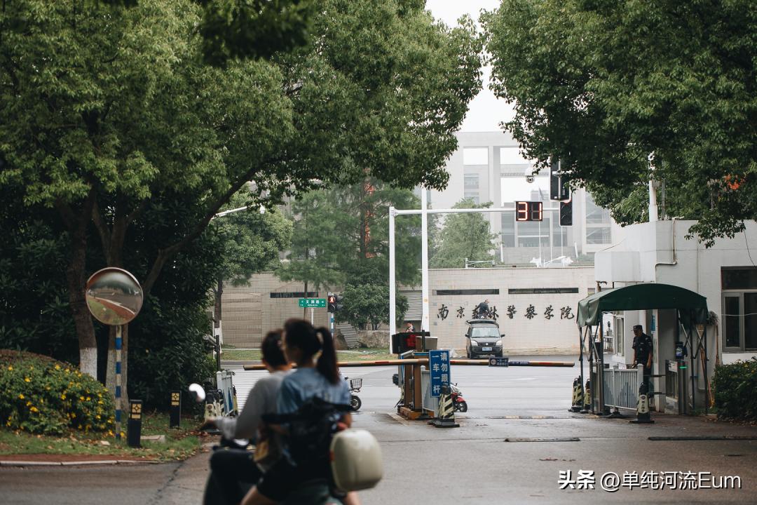 仙林南京,真正的南京仙林