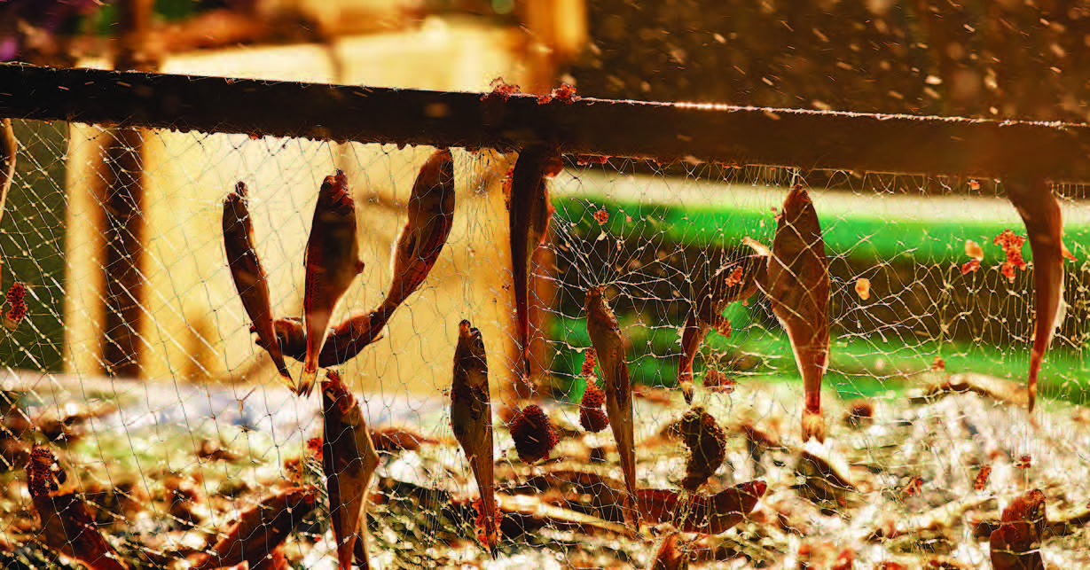 县城做海鲜水产生意可以吗,做海鲜水产市场生意要注意什么