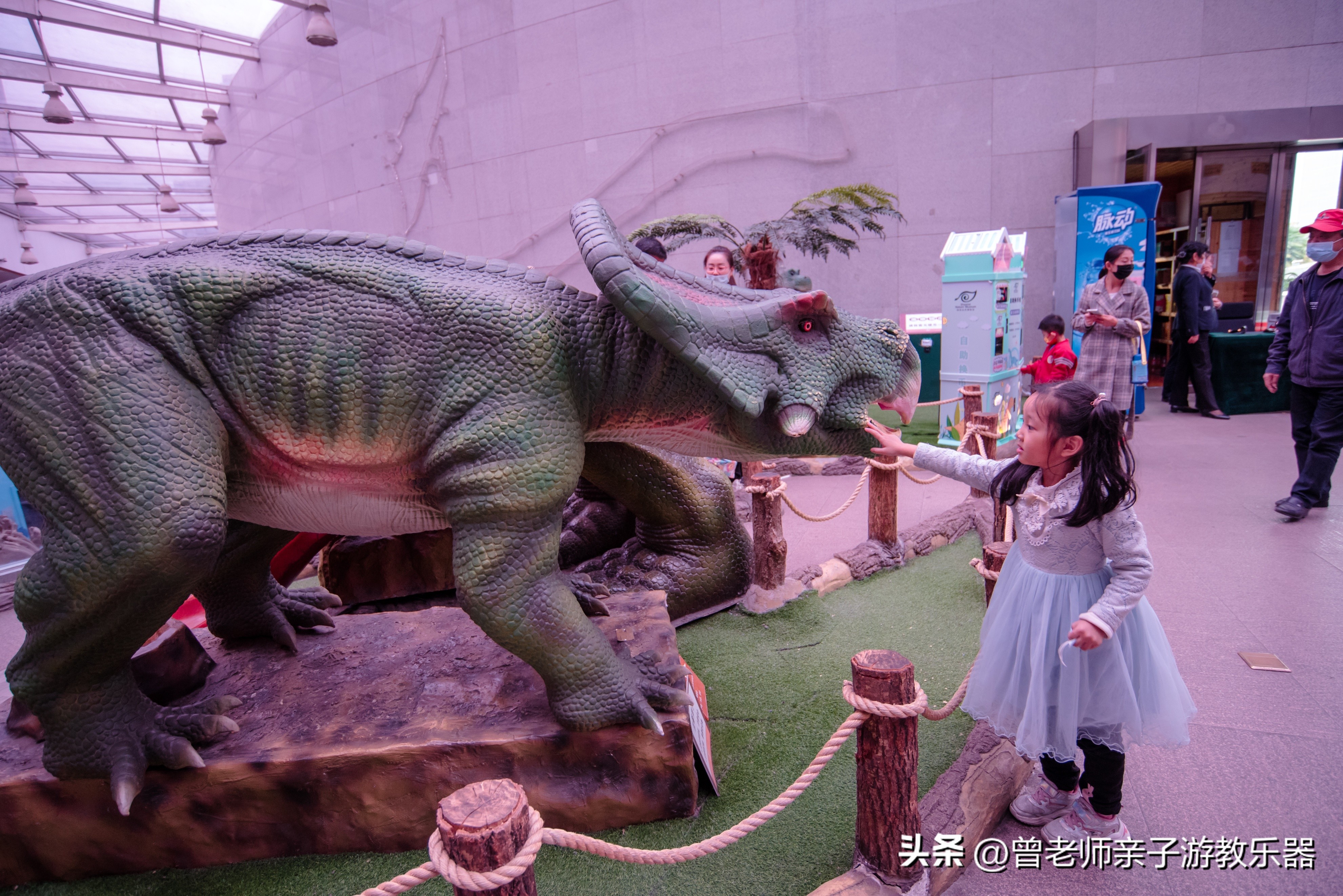 西安出发自驾亲子游,西安亲子游十大排名