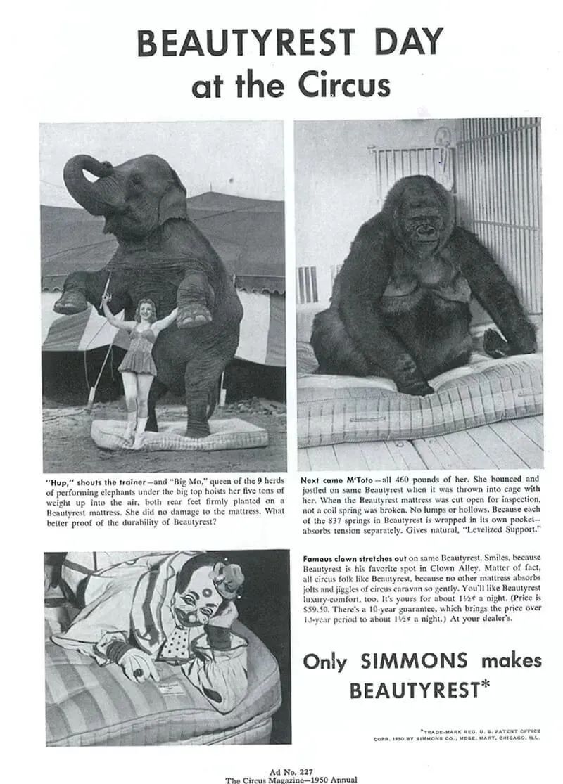 席梦思破产声明,席梦思十几年了怎么处理